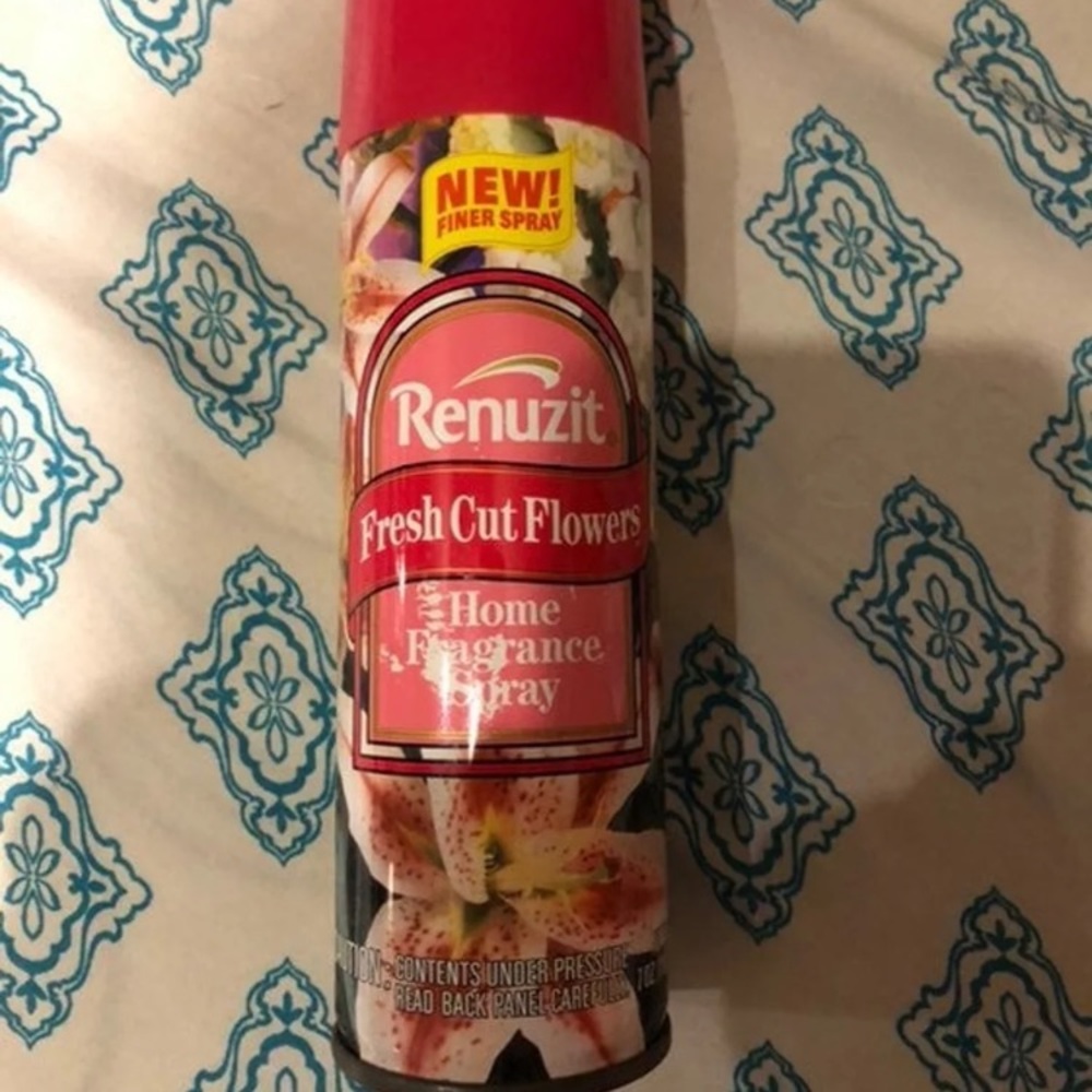 1994 RARE RECALLED Renuzit Air Freshener Can